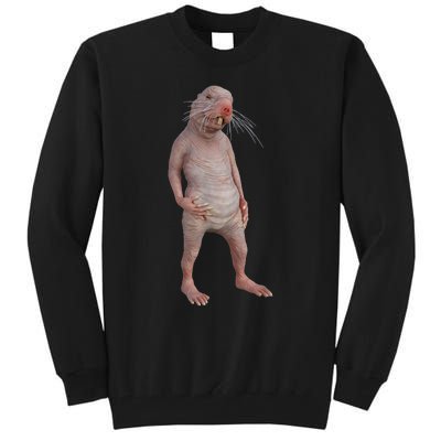 I Just Really Like Naked Moles Ok Funny Naked Mole Rat Tall Sweatshirt