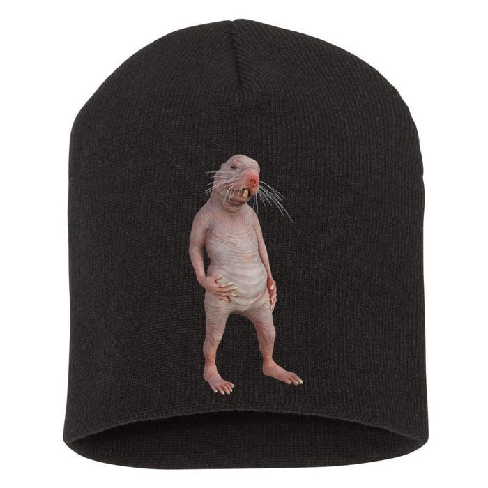 I Just Really Like Naked Moles Ok Funny Naked Mole Rat Short Acrylic Beanie