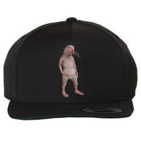 I Just Really Like Naked Moles Ok Funny Naked Mole Rat Wool Snapback Cap