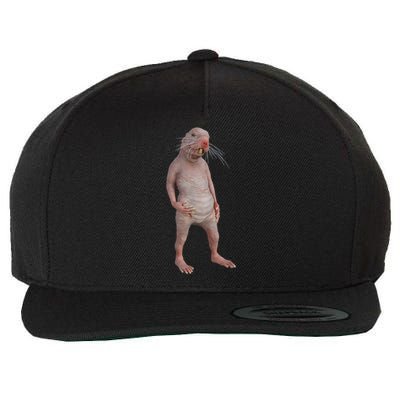 I Just Really Like Naked Moles Ok Funny Naked Mole Rat Wool Snapback Cap