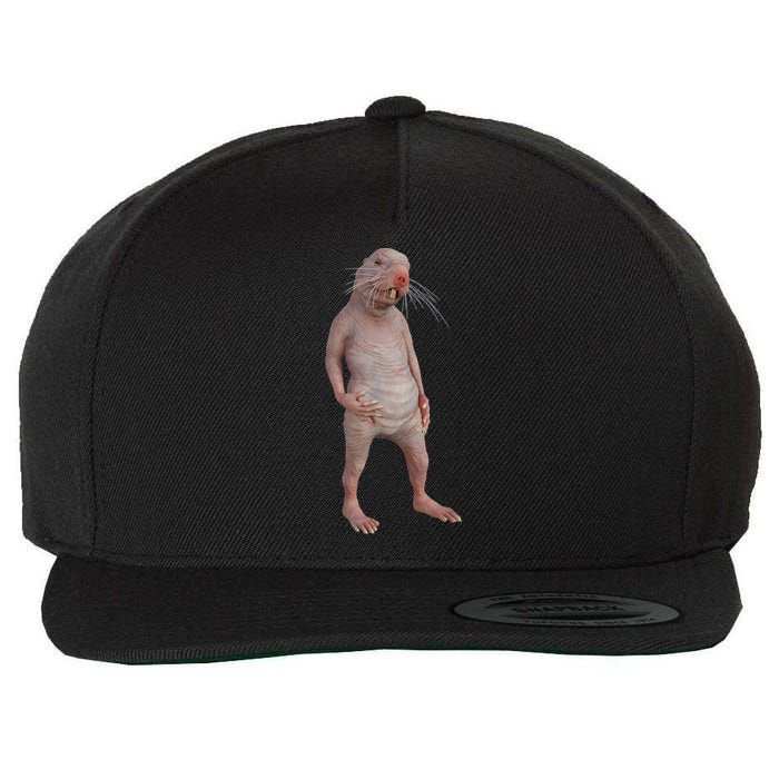 I Just Really Like Naked Moles Ok Funny Naked Mole Rat Wool Snapback Cap