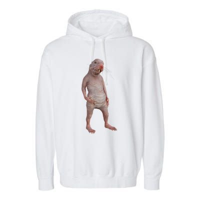 I Just Really Like Naked Moles Ok Funny Naked Mole Rat Garment-Dyed Fleece Hoodie