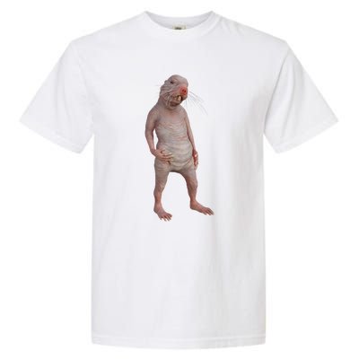 I Just Really Like Naked Moles Ok Funny Naked Mole Rat Garment-Dyed Heavyweight T-Shirt