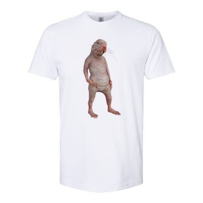 I Just Really Like Naked Moles Ok Funny Naked Mole Rat Softstyle® CVC T-Shirt