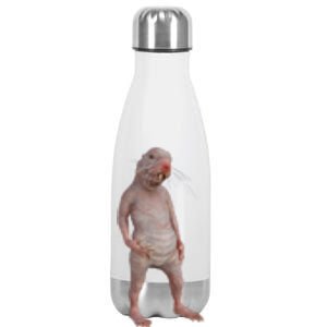 I Just Really Like Naked Moles Ok Funny Naked Mole Rat Stainless Steel Insulated Water Bottle