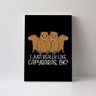 I Just Really Like Capybara Ok Capybara Lover Cute Cool Canvas