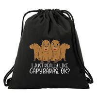 I Just Really Like Capybara Ok Capybara Lover Cute Cool Drawstring Bag