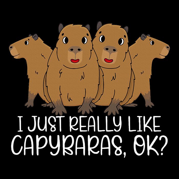 I Just Really Like Capybara Ok Capybara Lover Cute Cool Drawstring Bag