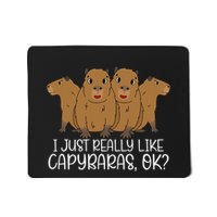 I Just Really Like Capybara Ok Capybara Lover Cute Cool Mousepad