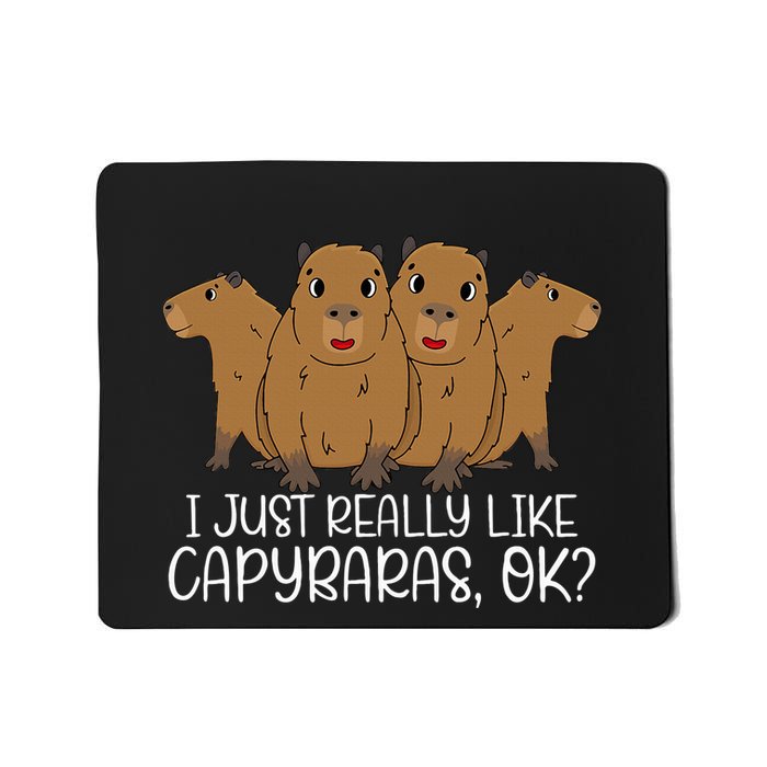 I Just Really Like Capybara Ok Capybara Lover Cute Cool Mousepad