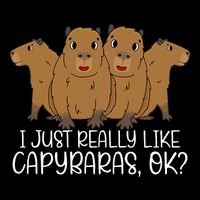 I Just Really Like Capybara Ok Capybara Lover Cute Cool Mousepad