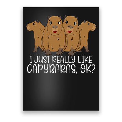 I Just Really Like Capybara Ok Capybara Lover Cute Cool Poster