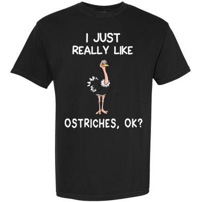 I Just Really Like Ostriches Garment-Dyed Heavyweight T-Shirt