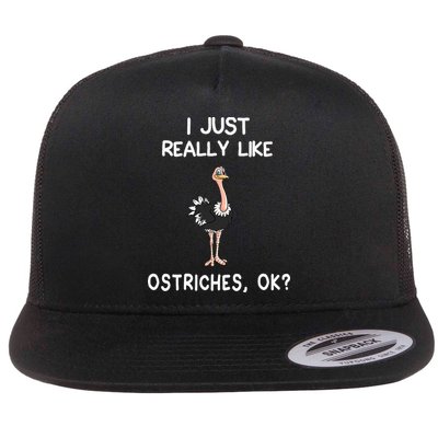 I Just Really Like Ostriches Flatbill Hat