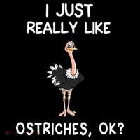 I Just Really Like Ostriches 16 in Basic Backpack
