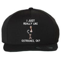 I Just Really Like Ostriches Wool Snapback Cap