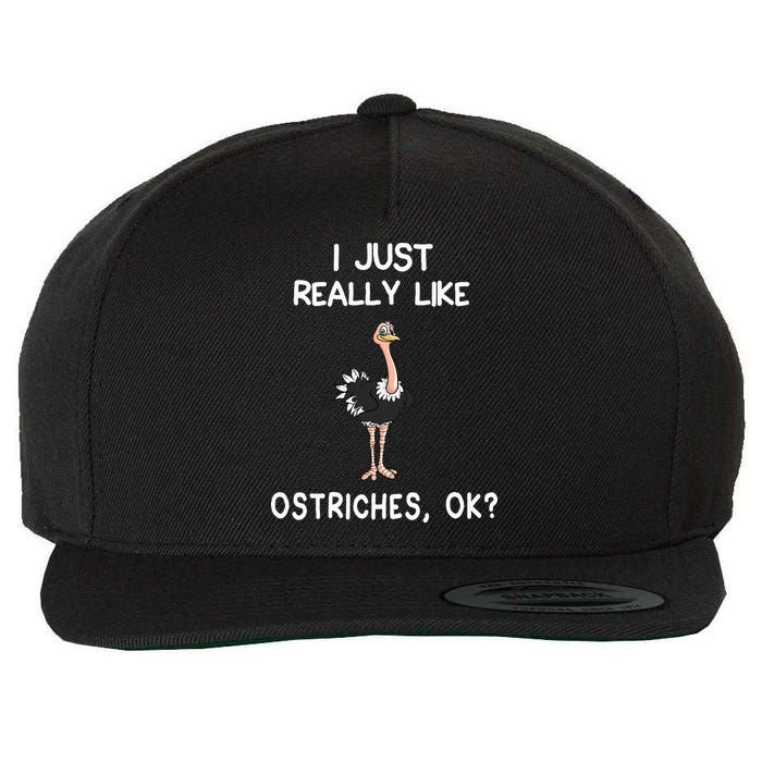 I Just Really Like Ostriches Wool Snapback Cap
