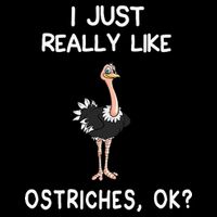 I Just Really Like Ostriches Wool Snapback Cap