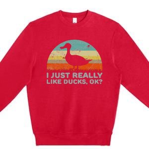 I Just Really Like Ducks Ok Premium Crewneck Sweatshirt