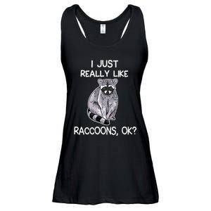 I Just Really Like Raccoons Ok Lover Gift Raccoon Love Ladies Essential Flowy Tank