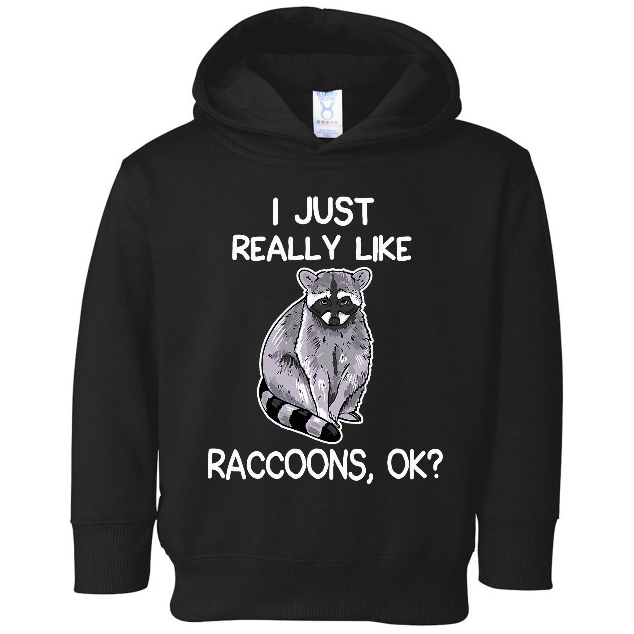 I Just Really Like Raccoons Ok Lover Gift Raccoon Love Toddler Hoodie