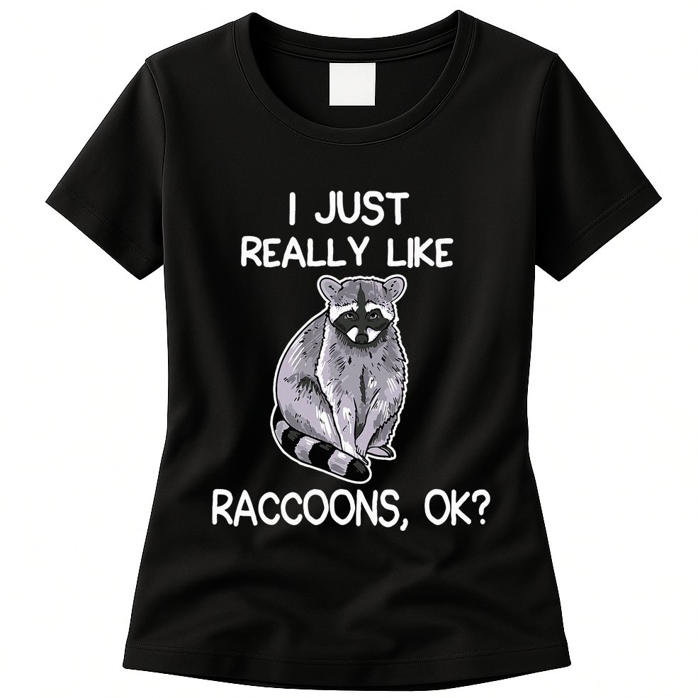 I Just Really Like Raccoons Ok Lover Gift Raccoon Love Womens T-Shirt