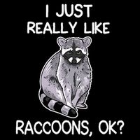 I Just Really Like Raccoons Ok Lover Gift Raccoon Love Womens T-Shirt
