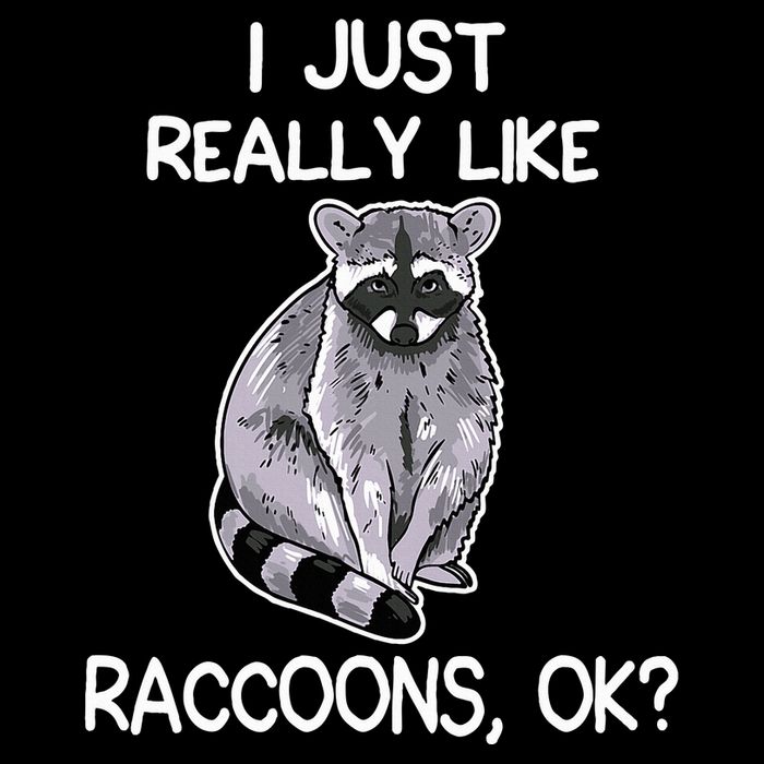 I Just Really Like Raccoons Ok Lover Gift Raccoon Love Womens T-Shirt