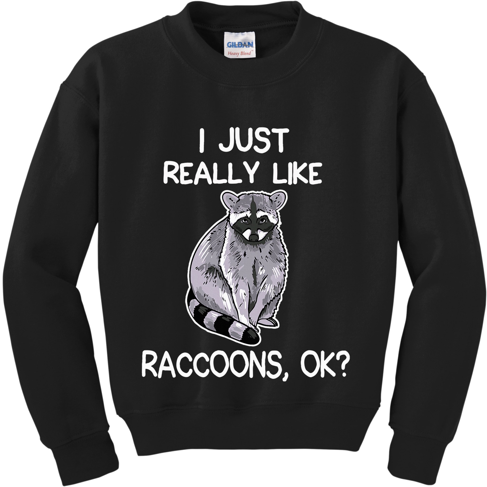I Just Really Like Raccoons Ok Lover Gift Raccoon Love Kids Sweatshirt