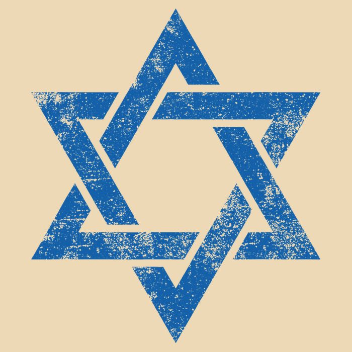 Israel Jewish Symbol Star Of David Zip Tote Bag