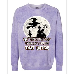 I Just Took A Dna Test Turns Out I Am 100% That Witch Gift Colorblast Crewneck Sweatshirt