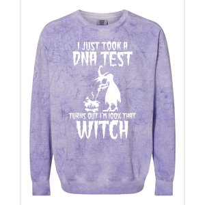 I Just Took A Dna Test Turns Out Im 100 Percent That Witch Gift Colorblast Crewneck Sweatshirt