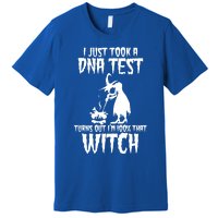 I Just Took A Dna Test Turns Out Im 100 Percent That Witch Gift Premium T-Shirt