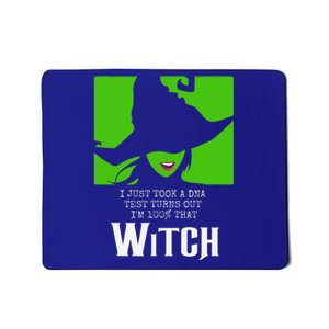 I Just Took A DNA Test Turns Out Im 100 That Witch Mousepad