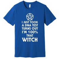 I Just Took A Dna Test Turns Out Im 100 Percent That Witch Gift Premium T-Shirt