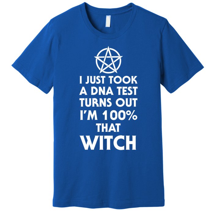 I Just Took A Dna Test Turns Out Im 100 Percent That Witch Gift Premium T-Shirt