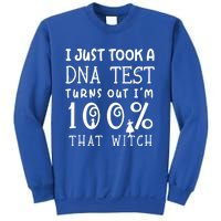 I Just Took A Dna Test Turns Out Im 100% That Witch Cute Gift Sweatshirt