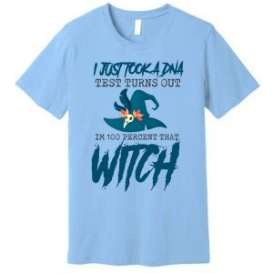 I Just Took A Dna Test Turns Out Im 100% That Witch Cool Gift Premium T-Shirt