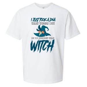 I Just Took A Dna Test Turns Out Im 100% That Witch Cool Gift Sueded Cloud Jersey T-Shirt