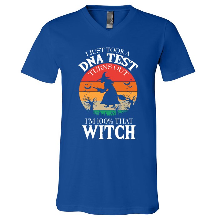 I Just Took A Dna Test Turns Out Im 100% That Witch Meaningful Gift V-Neck T-Shirt