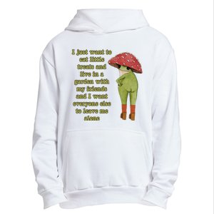 I Just Want To Eat Little Treats Funny Cartoon Frog Urban Pullover Hoodie