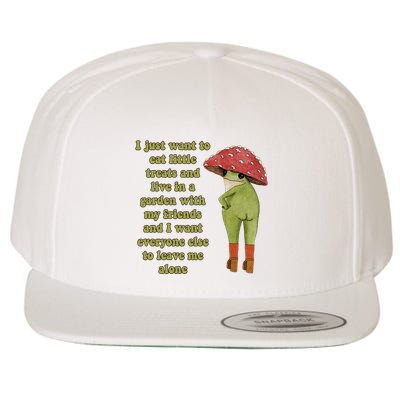 I Just Want To Eat Little Treats Funny Cartoon Frog Wool Snapback Cap