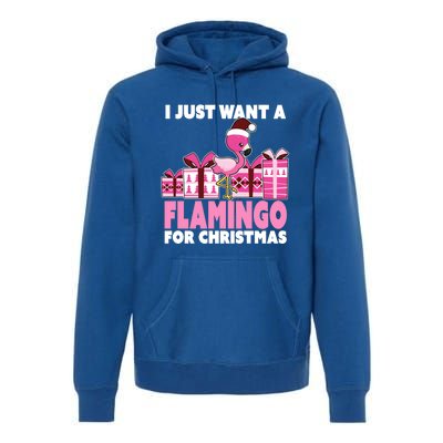 I Just Want A Flamingo For Christmas Flamingo Christmas Cute Gift Premium Hoodie