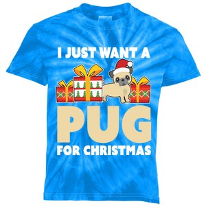 I Just Want A Pug For Christmas Cute Pug Owner Christmas Cute Gift Kids Tie-Dye T-Shirt