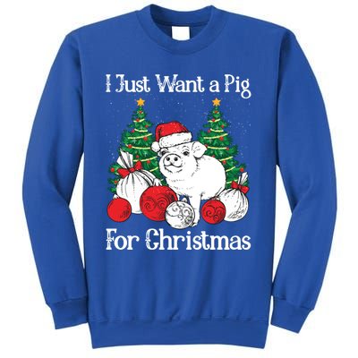 I Just Want A Pig For Christmas Holiday Tree Piglet Cute Cute Gift Sweatshirt