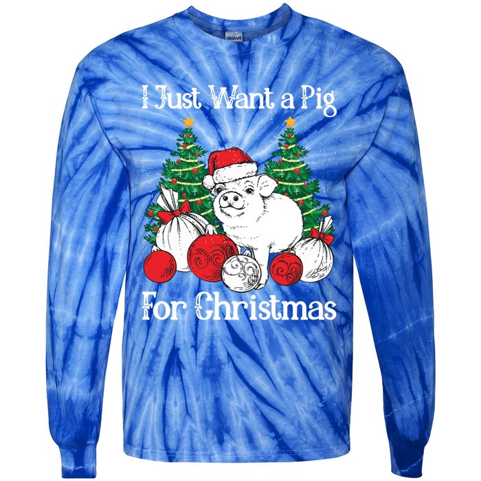 I Just Want A Pig For Christmas Holiday Tree Piglet Cute Cute Gift Tie-Dye Long Sleeve Shirt