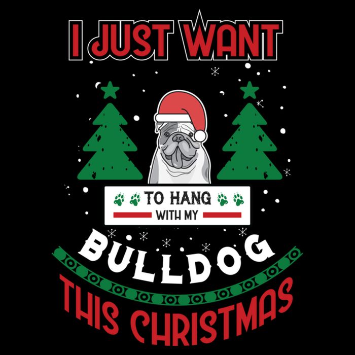 I Just Want To Hang With My Bulldog This Christmas Gift Cooling Performance Long Sleeve Crew
