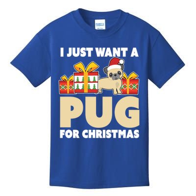 I Just Want A Pug For Christmas Cute Pug Owner Christmas Gift Kids T-Shirt