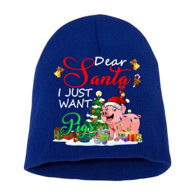 I Just Want Pigs Christmas Farmer Santa Pig Lover Gift Short Acrylic Beanie