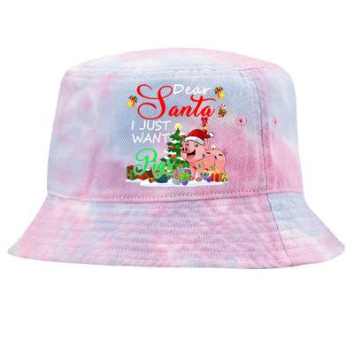 I Just Want Pigs Christmas Farmer Santa Pig Lover Gift Tie-Dyed Bucket Hat